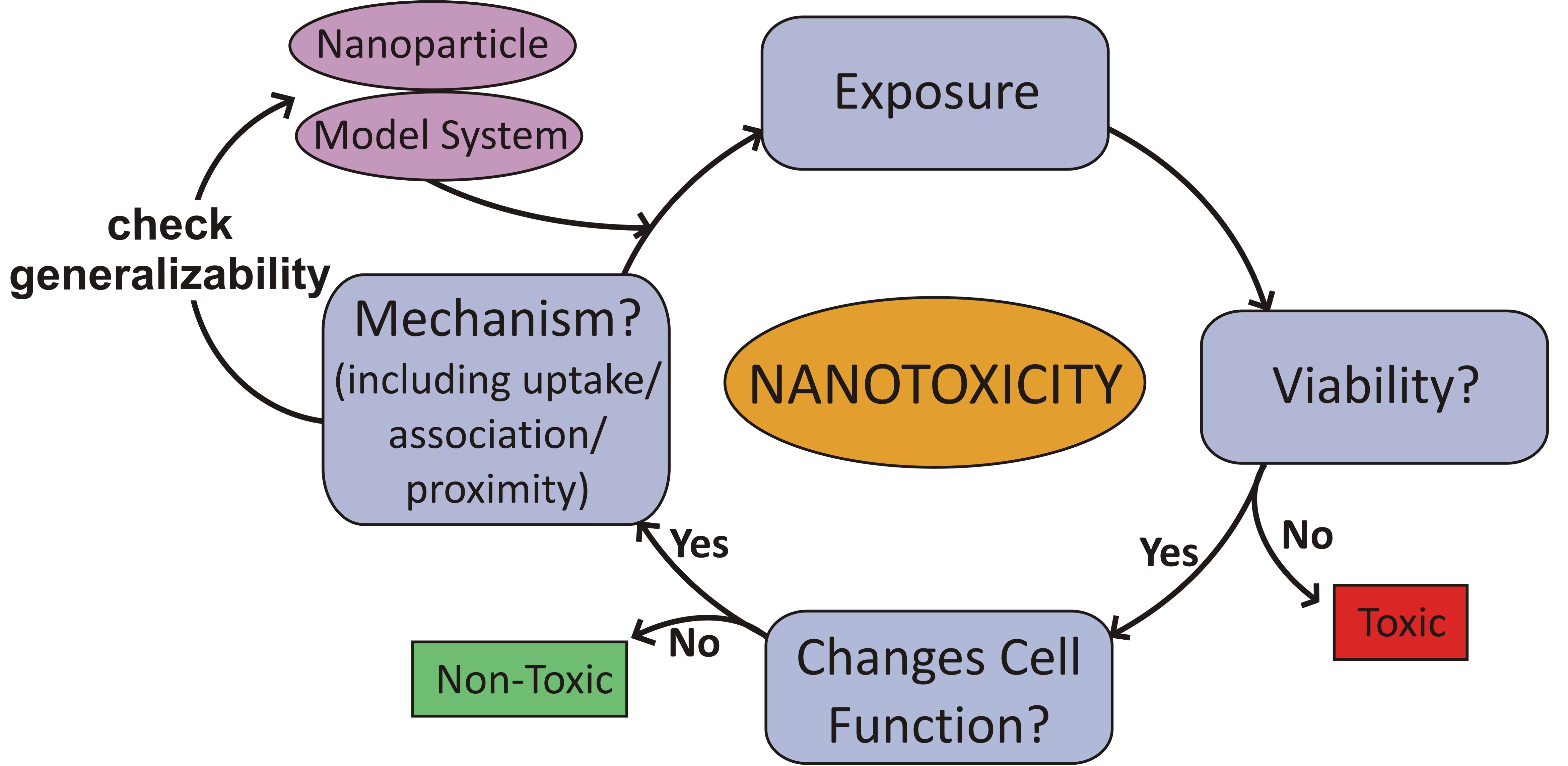 Nanotox